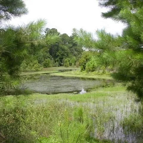 thumbnail for publication: Conservation Subdivision: Construction Phase—Low Impact Development (LID) and Stormwater Treatment
